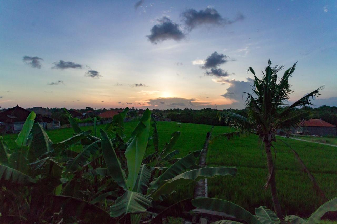 Samadi Bali Homes Canggu  Luaran gambar